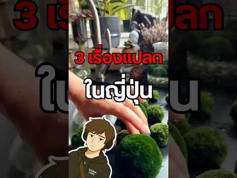 คนญี่ปุ่นเลี้ยงมอสเป็นสัตว์เลี้ยง💀 #ญี่ปุ่น #Japan #ของแปลก #มัทฉะ #สาระ #เล่าเรื่อง thumbnail
