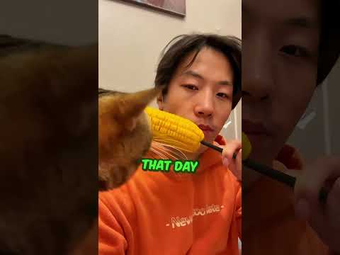 This Cat Stole Everything Her Owner Ate ?? thumbnail