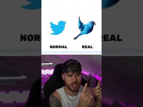 NORMAL oder REALISTISCH… 🙄 thumbnail