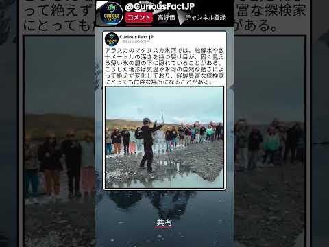 もし気づかず踏んだらって考えてしまう thumbnail