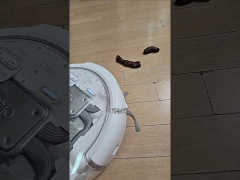 회피력 1황 로청기라는데..먼지도 피하는거 아녀? thumbnail