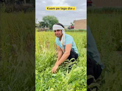 Exam khatam hote hi kaam pe laga dia? #comedy #funny #funnyvideo #comedyvideo #youtubeshorts thumbnail