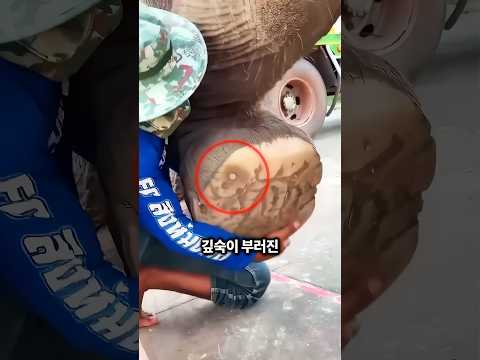 그들은 가족이 되었다 ❤️ thumbnail