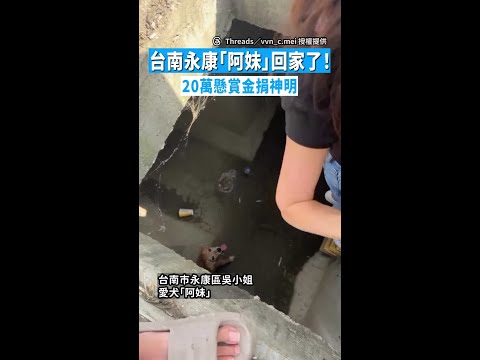【受困6天獲救】台南永康「阿妹」回家了！　20萬懸賞金捐神明 #Shorts thumbnail