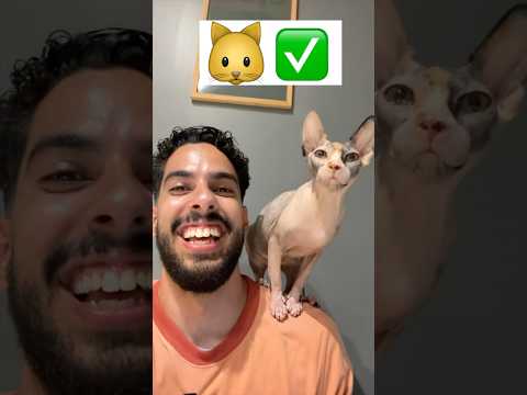دور قطتك من بين ١٠٠ قطة😳 thumbnail