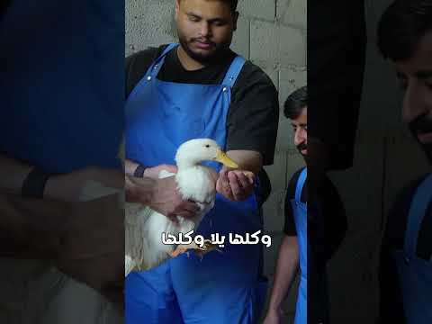 @dsh_90 لا موب كذا! ??? thumbnail