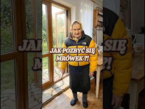 Jak pozbyć się mrówek w domu! Naturalna tarcza na próg i szuflady! 🤩 thumbnail