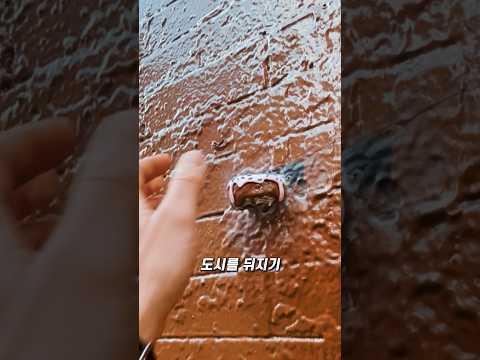 길거리에서 주우면 수백만 원… 숨겨진 예술품 thumbnail