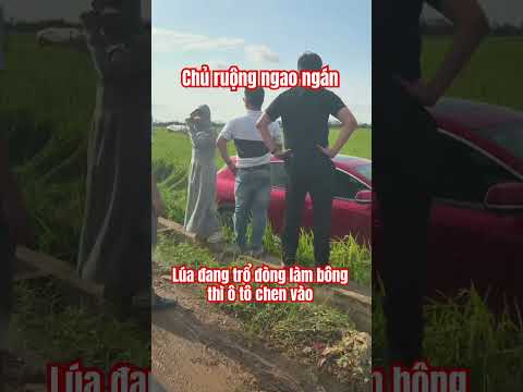 Xe gì đây thumbnail
