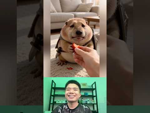 What The Dog Doing P159: PiPi LaBu Lặt Mặt Ăn Dâu. thumbnail