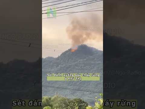 Sét đánh xuống gây cháy rừng ở Phú Thọ thumbnail