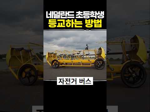 네덜란드 초등학생이 등교하는 방법 thumbnail