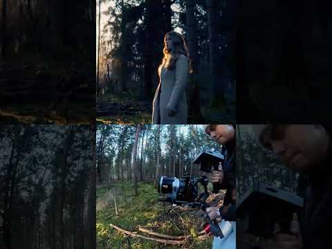 Forest, Light, and Cinema-Grade Stability 🌲 DJI RS 4 Pro thumbnail