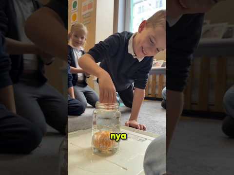 murid murid ini menyerah, sampai gurunya lakukan ini ? #shortviral #shorts thumbnail