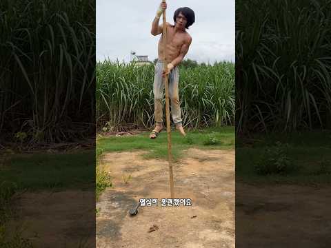 놀라운 서커스 공연을 보여준 청년 thumbnail