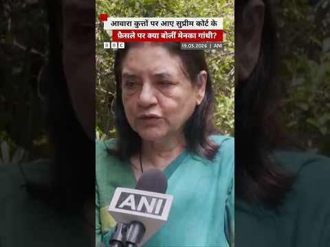 Stray Dogs पर आए सुप्रीम कोर्ट के फ़ैसले पर ये बोलीं Maneka Gandhi #straydogs #supremecourt thumbnail