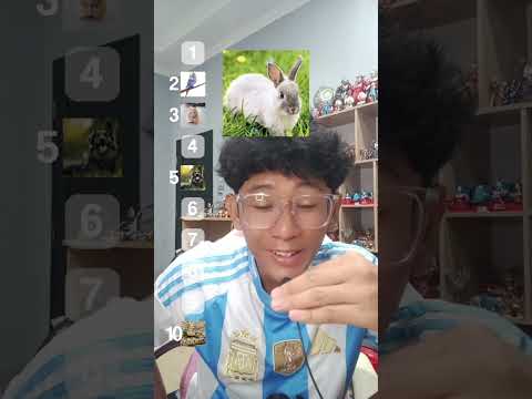 RANKING HAIWAN YANG AKU NAK BELA DEKAT RUMAH #shorts #shortvideo #animals thumbnail