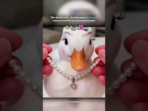 From Tiny Duck to Feathered Princess — A Simple Makeover Turned Her Into Royalty 👑🦆✨ thumbnail