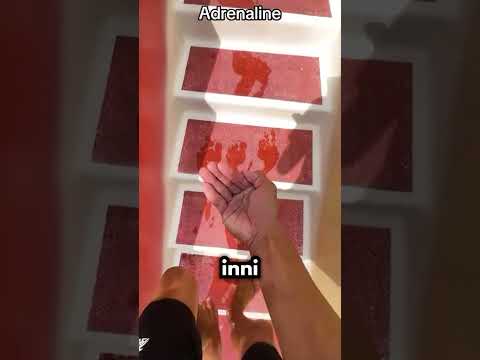 Jak On Przełamał Się Żeby Zjechać?!😱 thumbnail