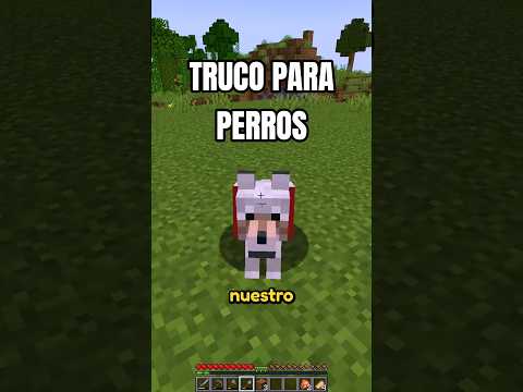 ¿VUESTRO PERRO TAMBIÉN HACE ESTO? 🫠🐶 #mikecrack thumbnail