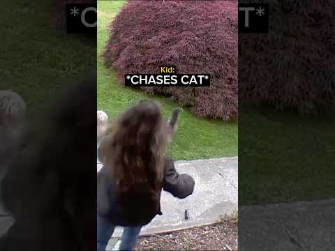 When a Cat Fights Back… thumbnail