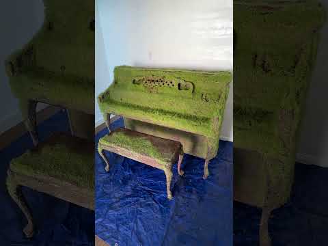 7 Day Growing a CHIA PET PIANO thumbnail