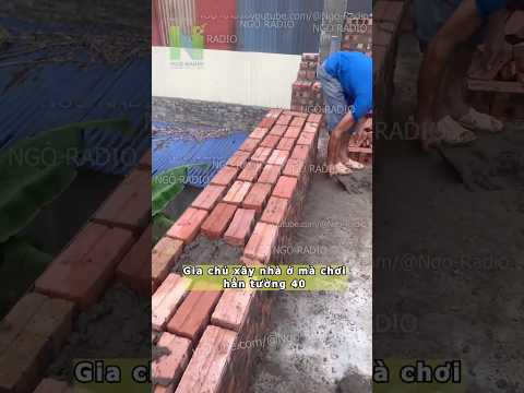Gia chủ xây nhà ở mà chơi hẳn tường 40 thumbnail