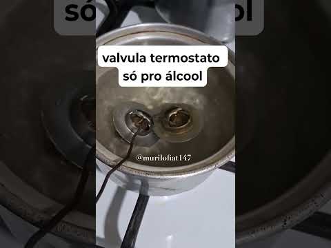 manda motor pro saco #fiat thumbnail