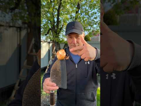 ЛУКОВЫЕ лепёшки из 90-х. Дешево, сытно, ВКУСНО thumbnail