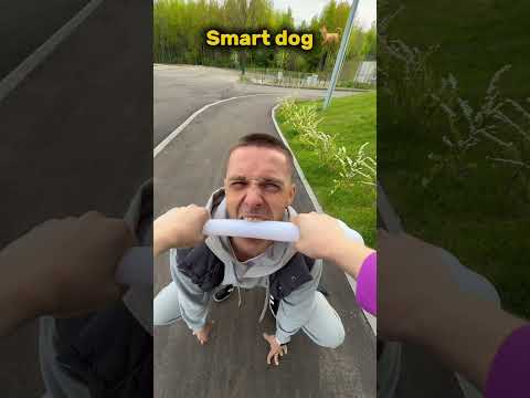 Do you like dogs?😄😄😄 thumbnail