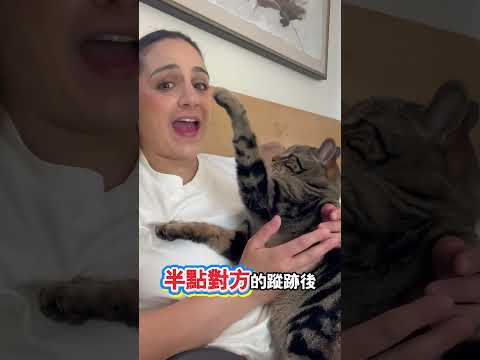 貓咪不許主人提死對頭的名字 thumbnail