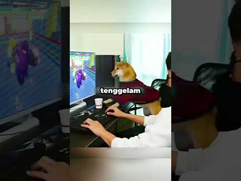 Ending Mengejutkan Dari Anjing Gamer😱 thumbnail