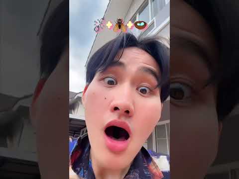 กินแมลงวัน ตามอิโมจิกันน thumbnail