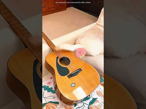 This owner turned his dog into a musician#shorts thumbnail