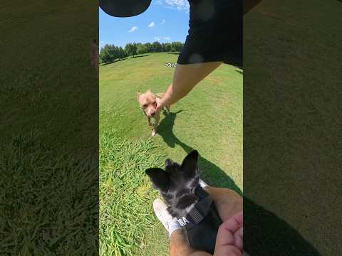 What would you do in this situation? thumbnail
