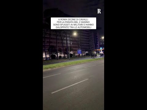 Sfuggono ai militari i cavalli per la parata del 2 giugno: la corsa al galoppo nelle strade di Roma thumbnail