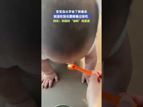 宝宝自从学会了爬着走，就连吃饭也要爬着过来吃。网友：四驱的“油耗”就是高 thumbnail