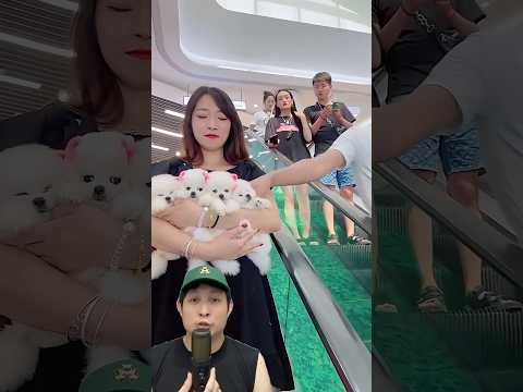 CEWEK BAGI BAGI KUCING LUCU‼️😱 @A2FactsForid #remix #dubbing #trending thumbnail