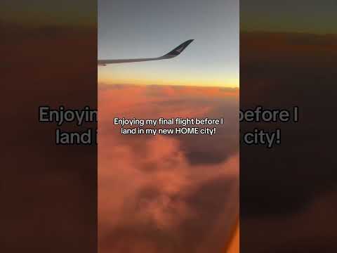 My Final Flight Before I Find A HOME thumbnail