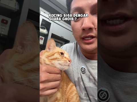 Oyen Main Tebak Suara thumbnail