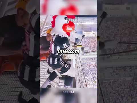Habilidades de las mascotas + Él 🤣☠️ thumbnail