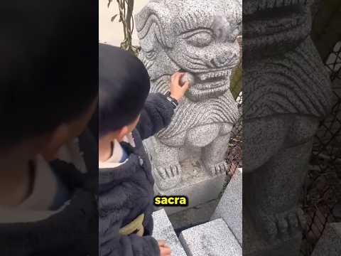 Ha estratto la PALLA dalla bocca del leone!🤯 thumbnail