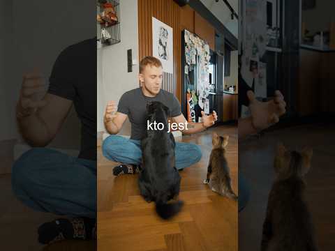 KOT CZY PIES CO JEST MĄDRZEJSZE? thumbnail