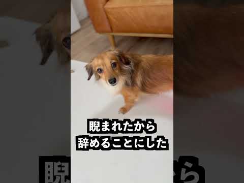 ハゲが治る帽子を膝に当てて放置してみた！ thumbnail
