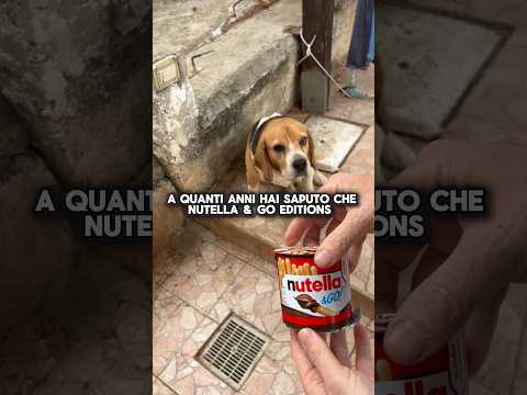 E tu a quanti anni l’hai Saputo? thumbnail