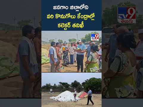 జనగాం జిల్లాలోని వరి కొనుగోలు కేంద్రాల్లో కలెక్టర్‌ తనిఖీ - TV9 thumbnail