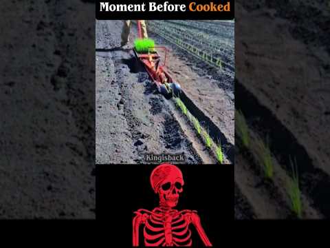 agriculture through technology #aestheic thumbnail