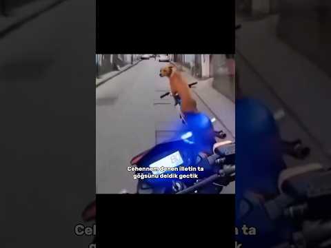 karanlık yollardan geçtik thumbnail