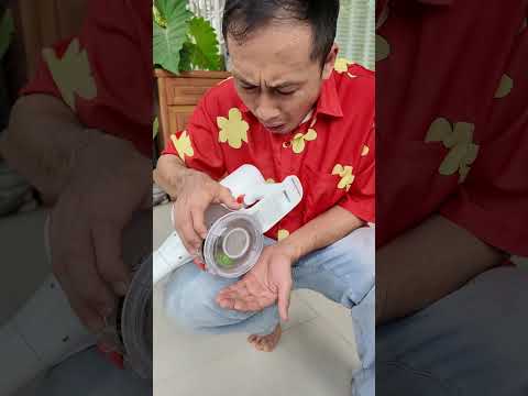Đừng Hút Sô Cô La Của Tôi #haongchu thumbnail