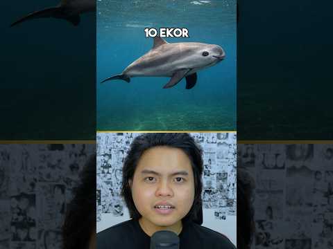 Spesies Terlangka di Dunia Menurut Ai? thumbnail
